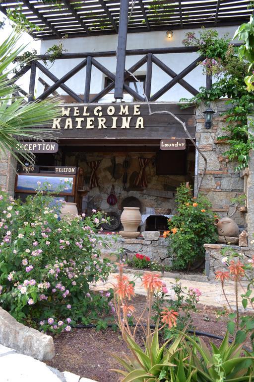 Katerina Apartments Káto Zákros 外观 照片